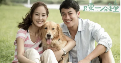 16263342854241115c87.png image.png