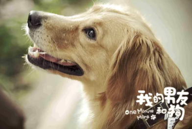 1626334335980439Nhne.png image.png